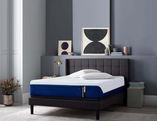 Springtek Dreamer - 3 Layered Orthopedic Memory Foam Mattress